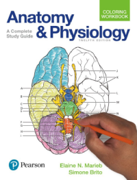 Anatomy & Physiology Coloring Workbook